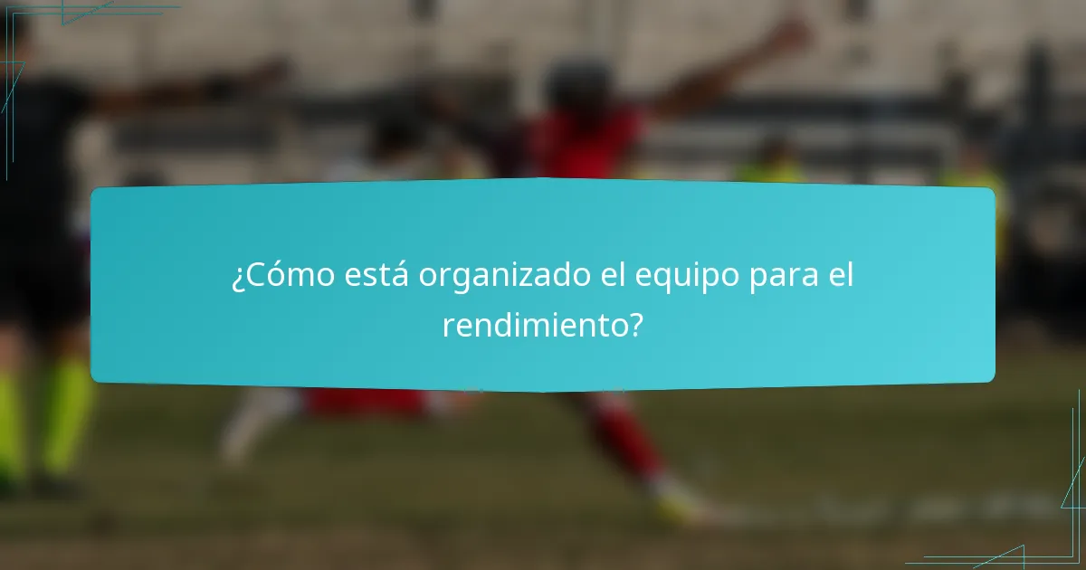 ¿Cómo está organizado el equipo para el rendimiento?