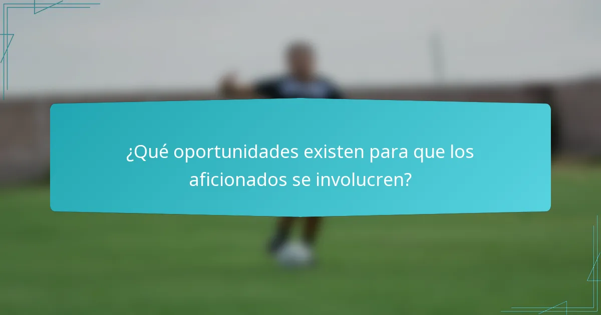 ¿Qué oportunidades existen para que los aficionados se involucren?
